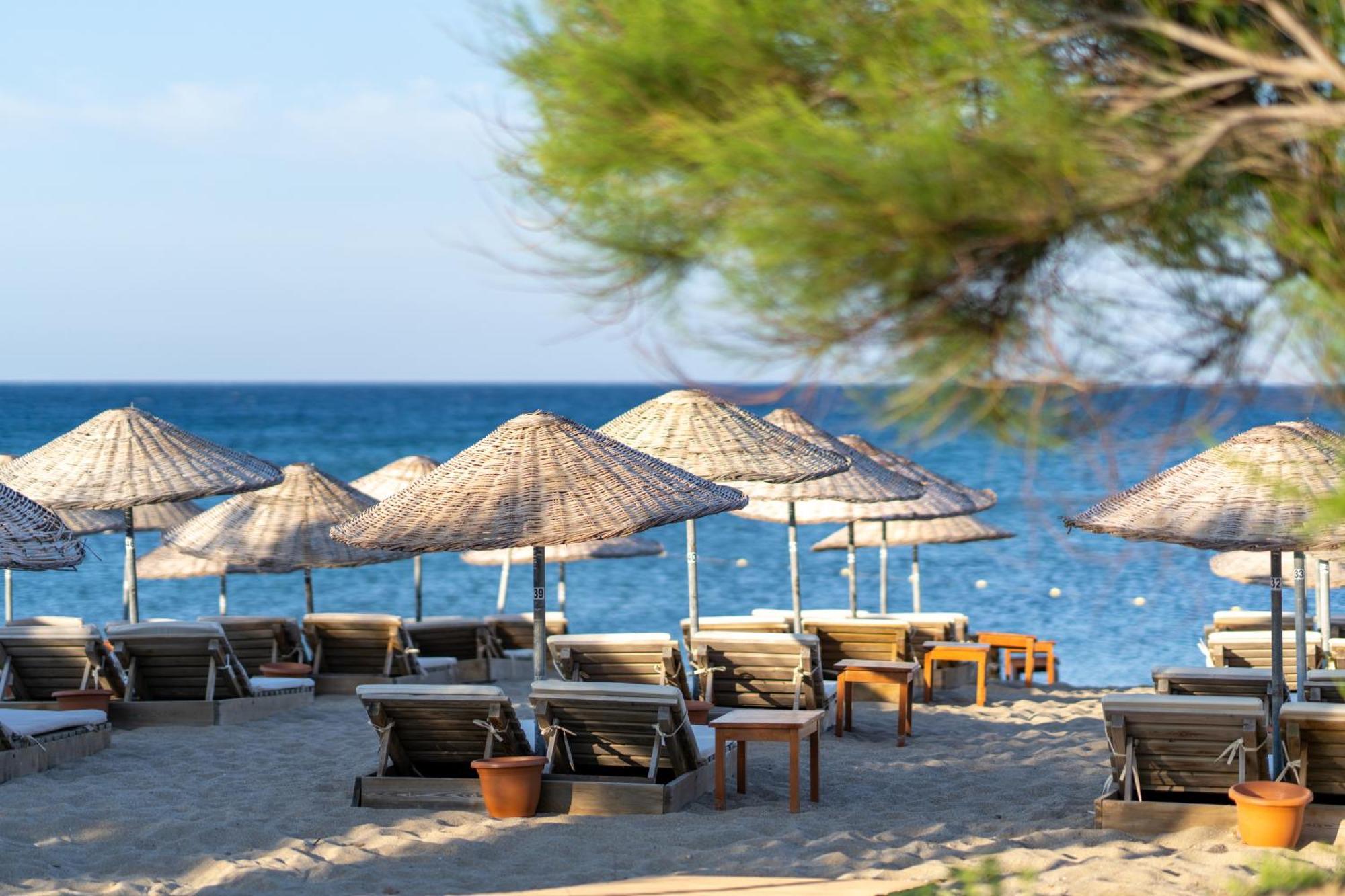 Gokceada Surf Egitim Merkezi Dış mekan fotoğraf